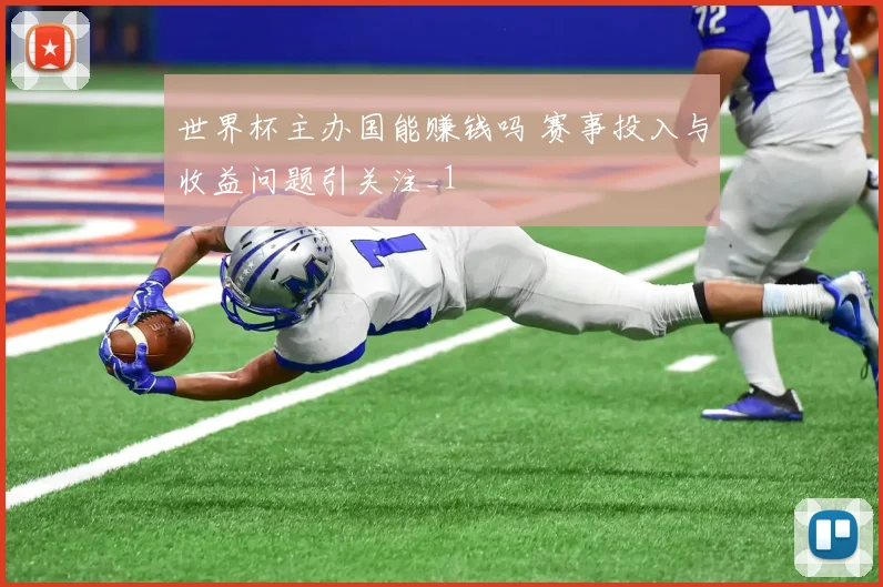 世界杯主办国能赚钱吗 赛事投入与收益问题引关注_1