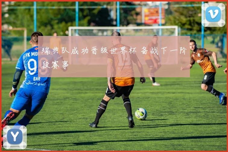 瑞典队成功晋级世界杯 备战下一阶段赛事